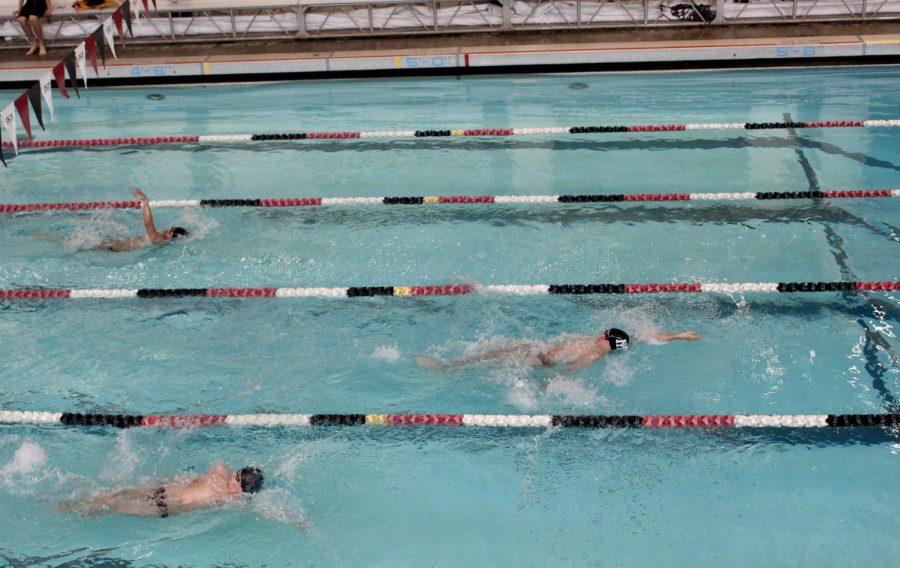 Mercer Island Boys Swim and Dive Finishes Season Undefeated
