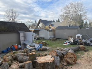 Violent Wind Storm Sweeps Mercer Island