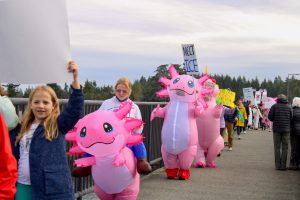Mercer Island No Kings Day Gallery