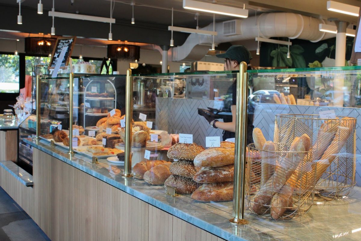 Macrina Becomes New Study Hub